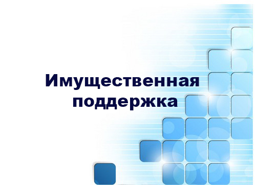 Информационная поддержка субъектов МСП.