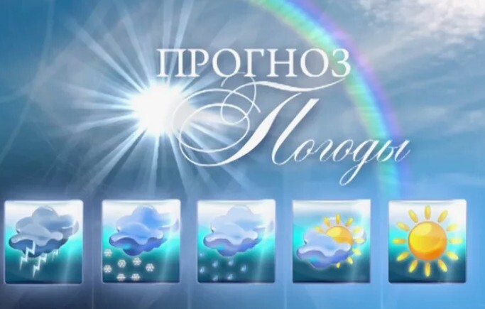 Ежедневный прогноз.