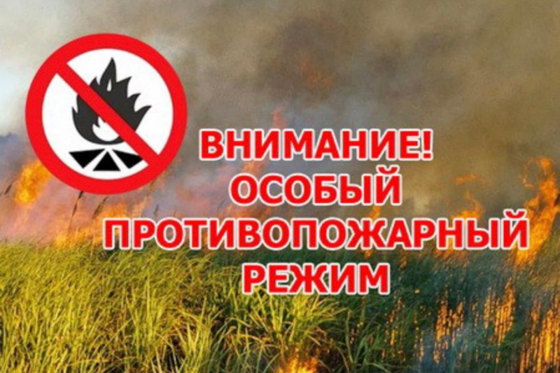 Об установлении особого противопожарного режима.