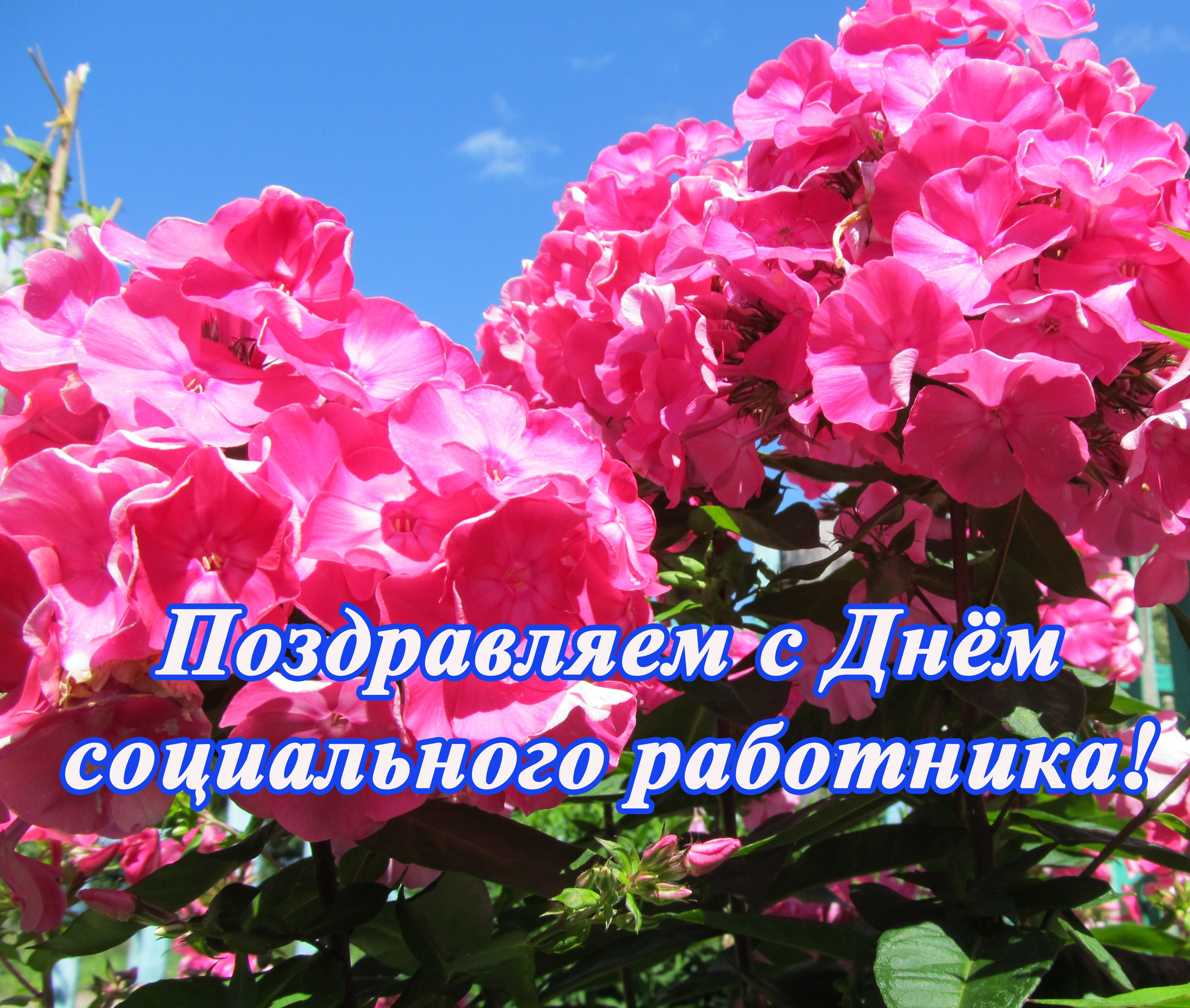 Поздравление с Днем социального работника.
