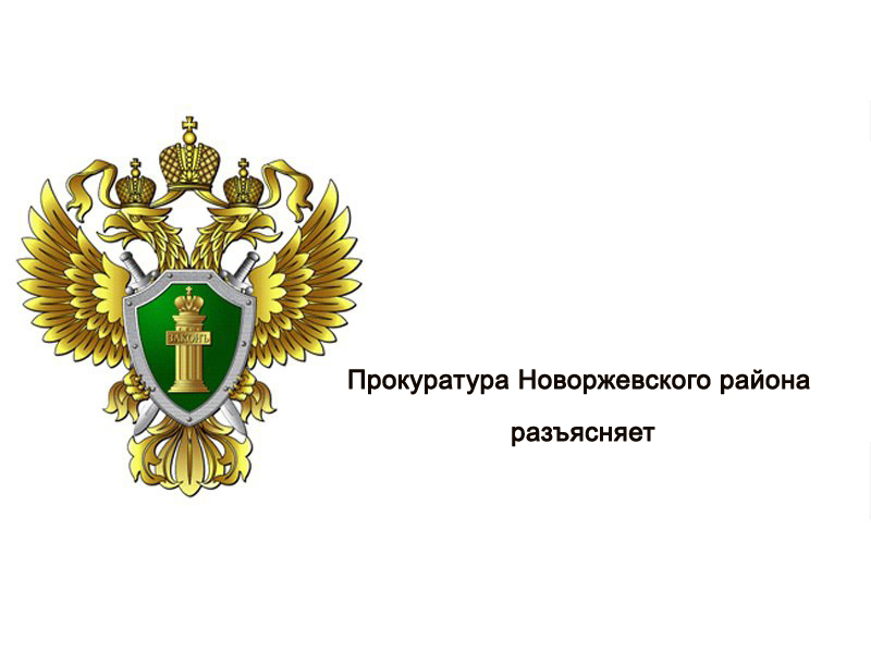 Прокуратура Новоржевского района Псковской области разъясняет  о новеллах регионального законодательства в сфере предоставления мер поддержки многодетным семьям.