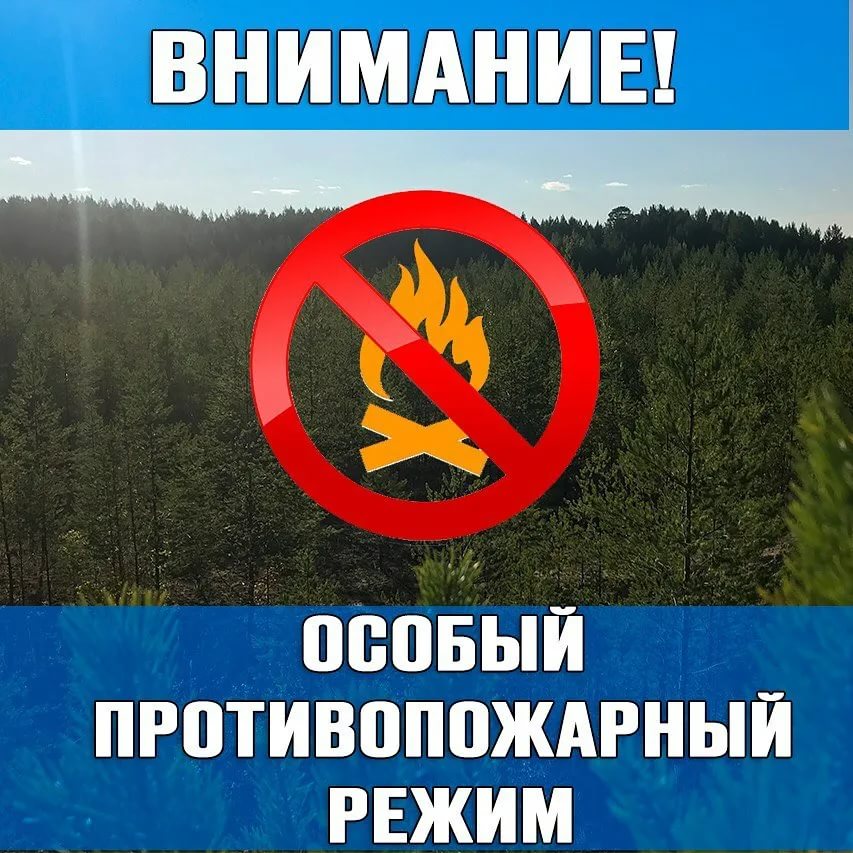 Постановлением Правительства Псковской области №253 от 13.06.2023 установлен особый противопожарный режим на территории Псковской области.