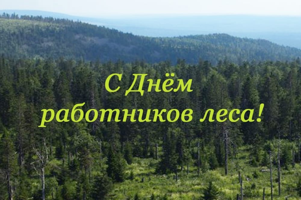 15 сентября - День работников леса и лесоперерабатывающей промышленности.