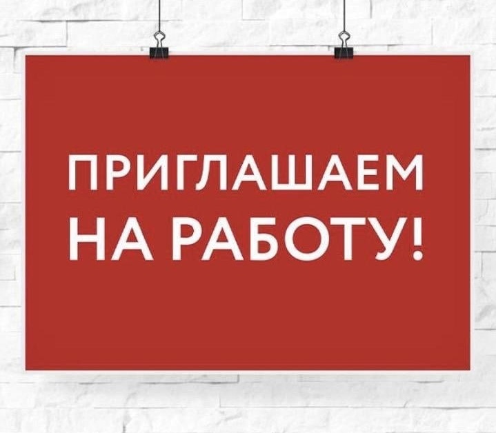 Администрация Новоржевского района приглашает на постоянную работу начальника отдела кадрового и правового обеспечения.