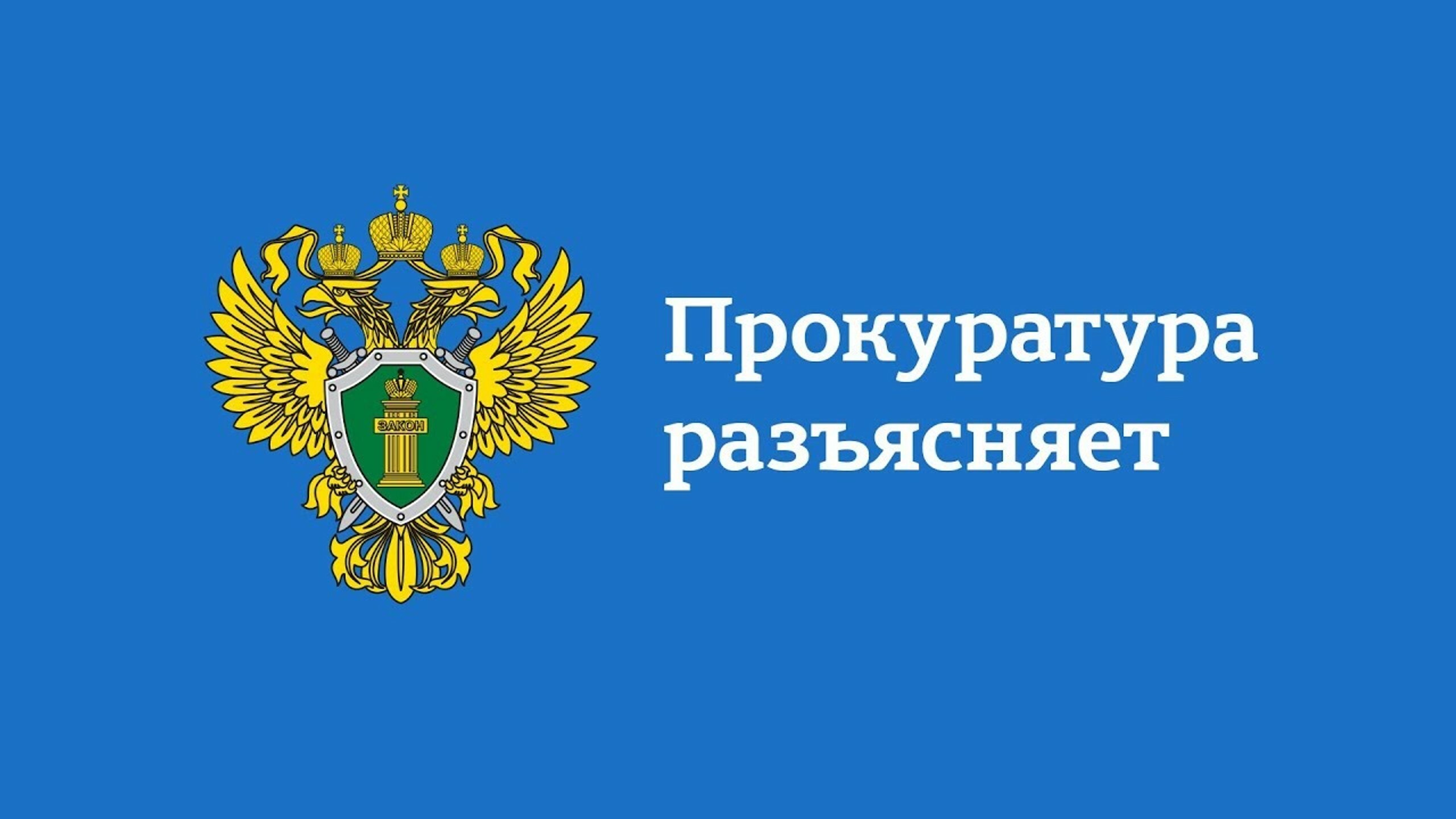 Прокуратура Новоржевского района Псковской области разъясняет об уголовной ответственности за незаконные использование, передачу, сбор и хранение компьютерной информации, содержащей персональные данные.