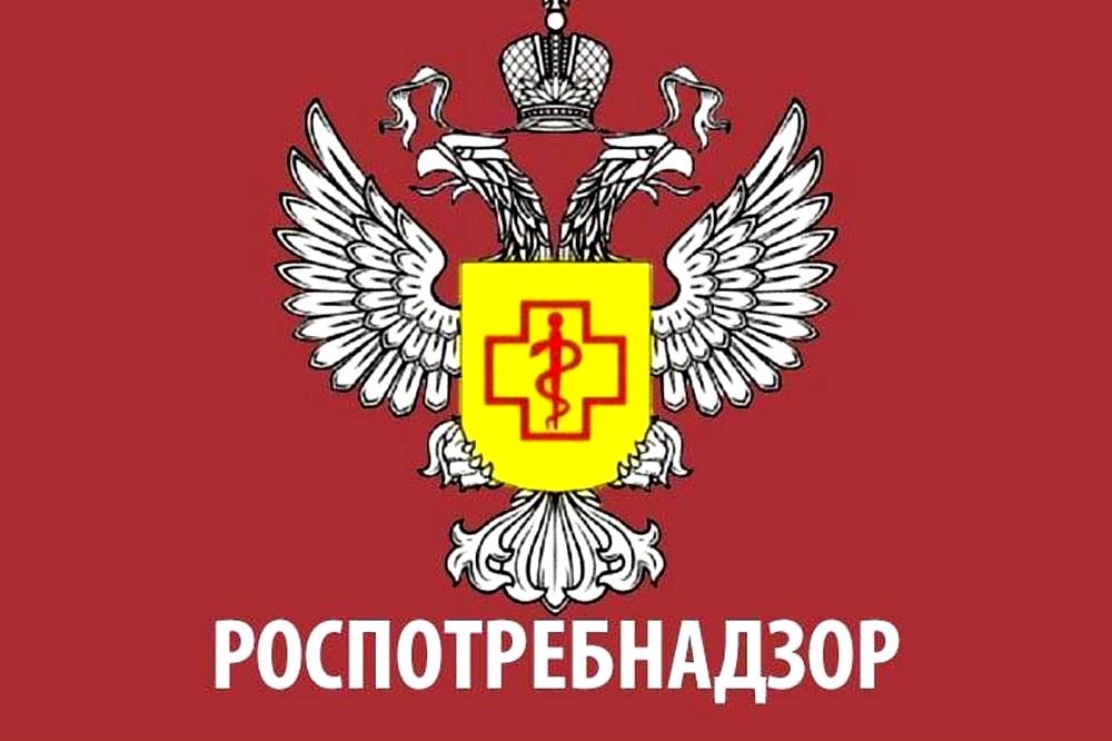 Проявился недостаток в товаре. Как быть?.