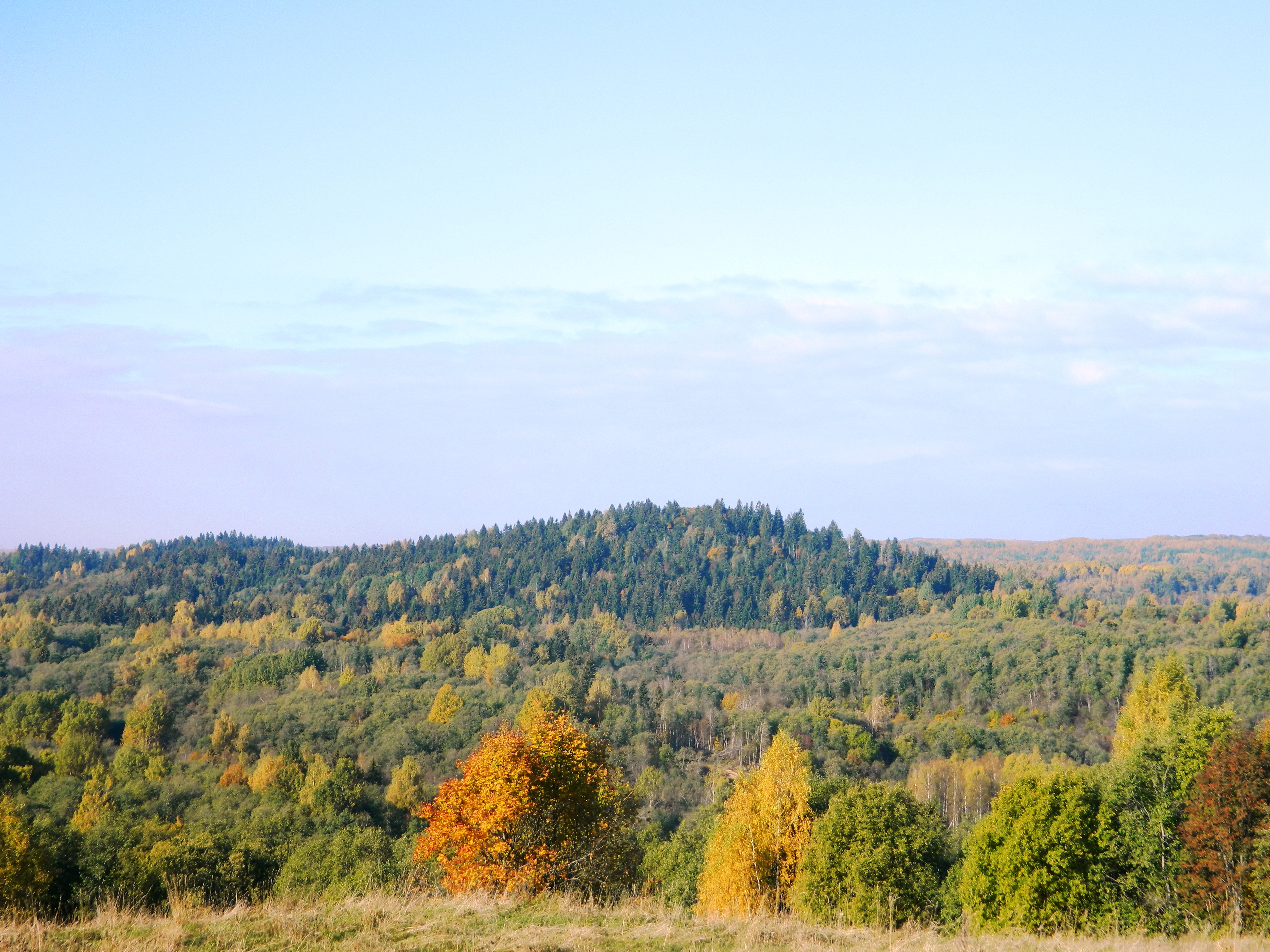 Гора Липницкая.