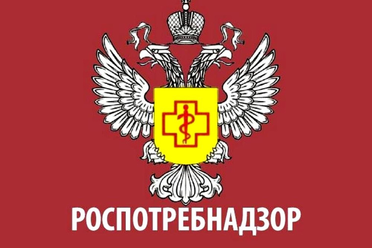 Проявился недостаток в товаре. Как быть?. Проявился недостаток в товаре. Как быть?.