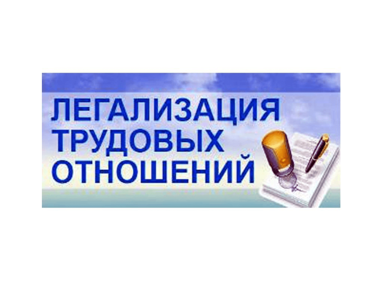 Снижение неформальной занятости и легализация трудовых отношений. Снижение неформальной занятости и легализация трудовых отношений.