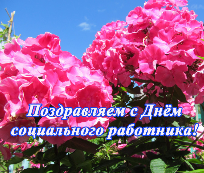 Поздравление с Днем социального работника. Поздравление с Днем социального работника.
