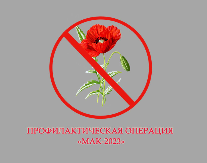 На территории Псковской области объявлена межведомственная комплексная оперативно-профилактическая операция «МАК-2023». На территории Псковской области объявлена межведомственная комплексная оперативно-профилактическая операция «МАК-2023».