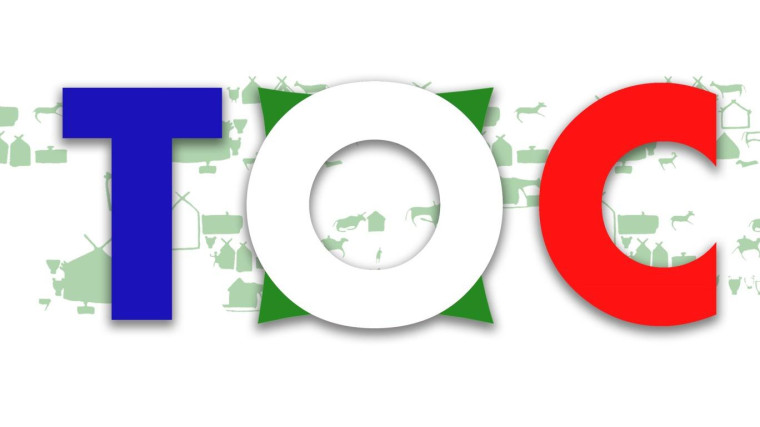ТОС. ТОС.
