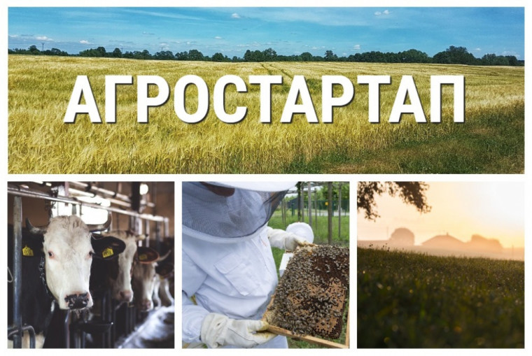 Начался отбор по предоставлению грантов «Агростартап». Начался отбор по предоставлению грантов «Агростартап».