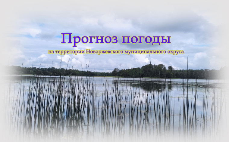 Прогноз погоды. Прогноз погоды.