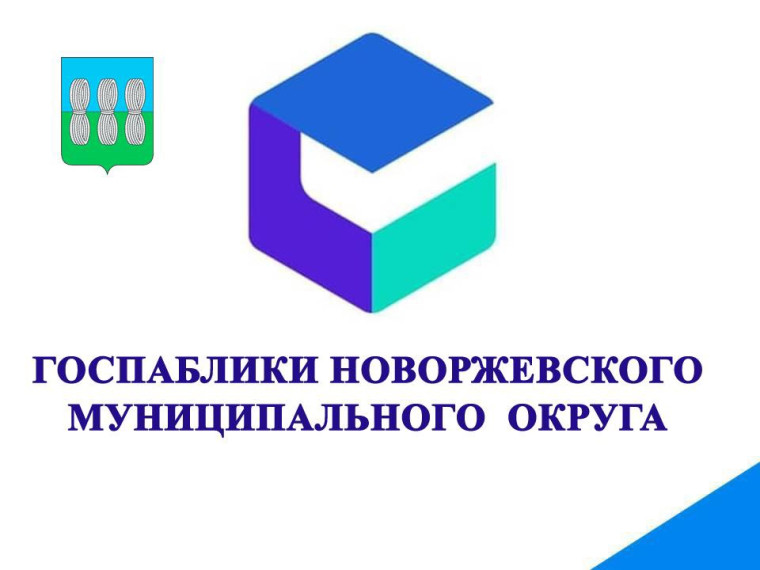 Что такое госпаблики?. Что такое госпаблики?.
