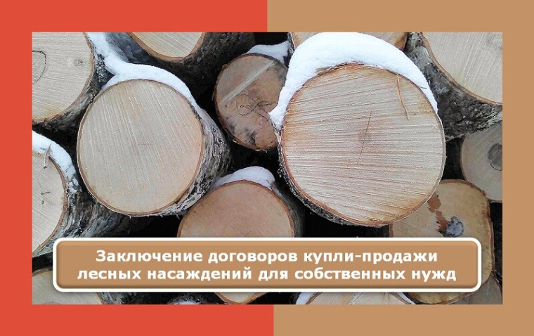 Утвержден Порядок заключения гражданами договоров купли-продажи лесных насаждений в целях заготовки ими для собственных нужд древесины. Утвержден Порядок заключения гражданами договоров купли-продажи лесных насаждений в целях заготовки ими для собственных нужд древесины.
